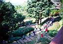 nooy-049.jpg